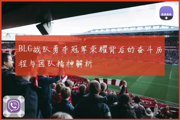 BLG战队勇夺冠军荣耀背后的奋斗历程与团队精神解析