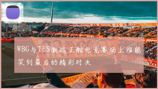 WBG与TES激战正酣电竞赛场上谁能笑到最后的精彩对决