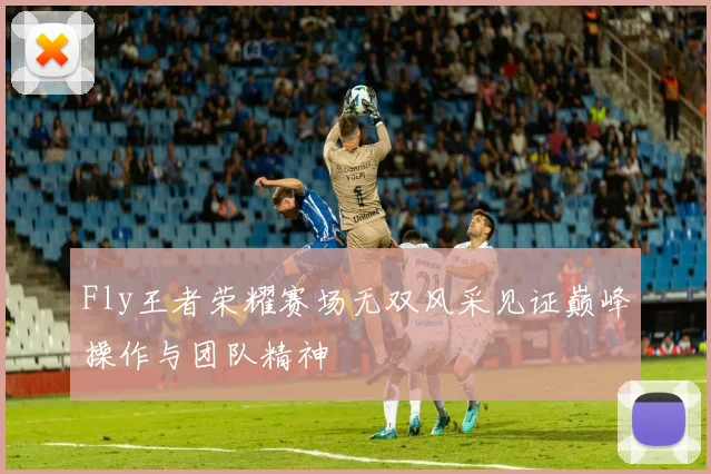 Fly王者荣耀赛场无双风采见证巅峰操作与团队精神