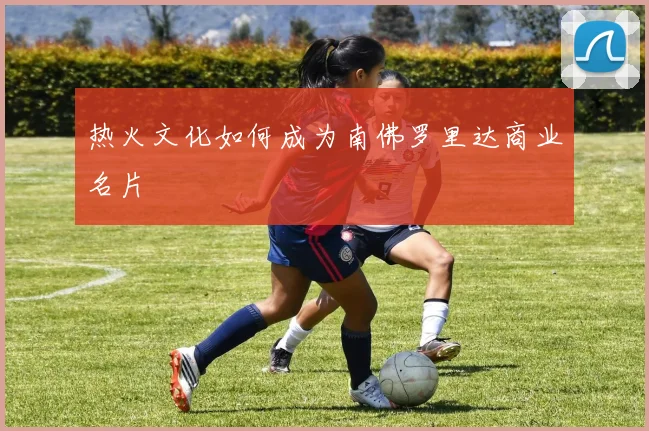 热火文化如何成为南佛罗里达商业名片